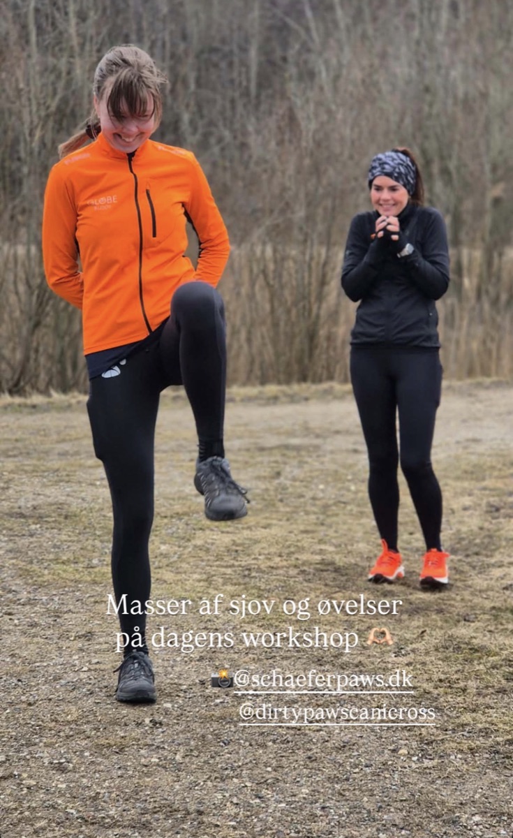 Trailworkshop med David